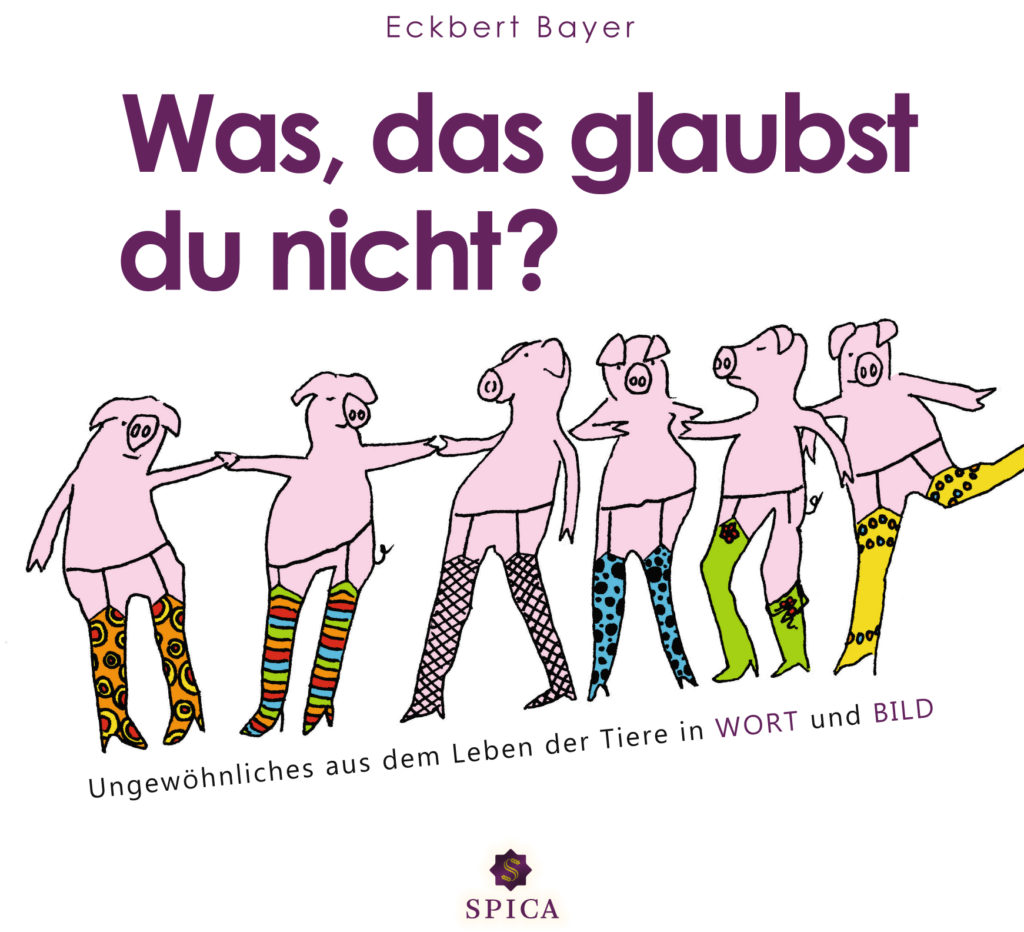 Krass! Spider Man: Smash The System! Rockiges Spin Off – Du Glaubst Das Nicht! - yx53ij3